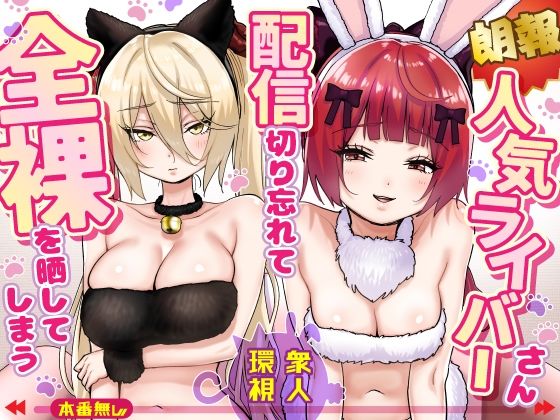 【朗報】人気ライバーさん 配信切り忘れて全裸を晒してしまう/P＆I  エロ画像775032